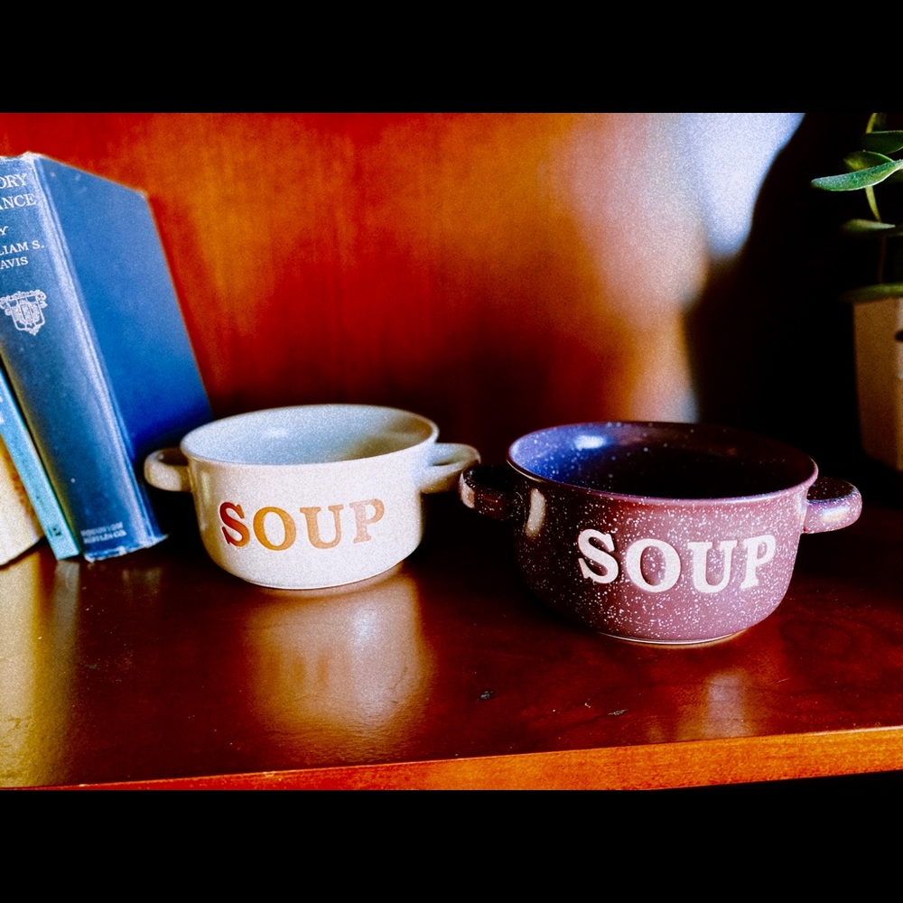 🍜Set of 2 Walter Drake Ceramic Soup Bowls🍜